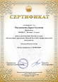 Достижения за 2025 - 2026 гг