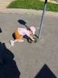 2 июля День ГИБДД
