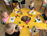 Кустики малины
