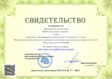 Транслирование опыта. Наличие публикаций