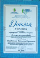 Общественная деятельность
