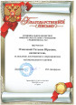 Наличие отмеченных профессиональных достижений