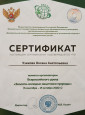 НОД «Воздух вокруг нас» (11.10.2022г)