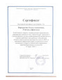 Районное методическое объединение индивидуальное коррекционно-развивающее занятие "Какой бывает транспорт?"
