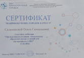 Организация и создание специальных образовательных условий для обучающихся с ОВЗ