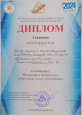 Диплом I степени  XIV Регионального этапа Всероссийского Форума социально-педагогических инноваций -2024