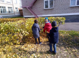 Труд на участке осенью