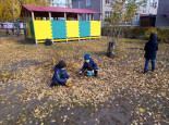 Труд на участке осенью