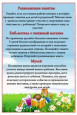 Чем занять ребенка летом?