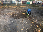 Труд в природе осенью