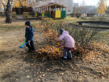 Труд в природе осенью