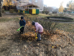Труд в природе осенью