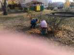 Труд в природе осенью