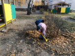 Труд в природе осенью