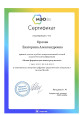 Транслирование опыта профессиональной деятельности