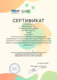 мои достижения 24-25г