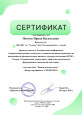 мои достижения 24-25г