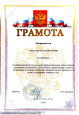 Наличие отмеченных профессиональных достижений 