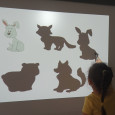 Forest animals 