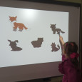 Forest animals 