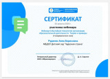 Вебинар для педагогов ДО 