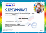 Дипломы и сертификаты 2023-2024 у.г.