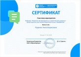 Дипломы и сертификаты 2023-2024 у.г.