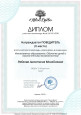 Непрерывность профессионального развития