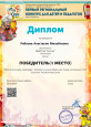 Транслирование опыта профессиональной деятельности