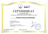 Непрерывность профессионального развития