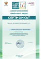Непрерывность профессионального развития