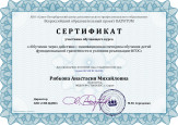 Непрерывность профессионального развития