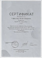 Непрерывность профессионального развития