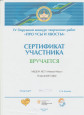 Участие и достижения воспитанников в заочных конкурсах