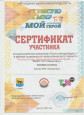 Участие и достижения воспитанников в заочных конкурсах