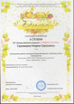 Достижения педагогического работника