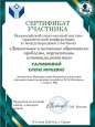 4.3 Транслирование в педагогических коллективах опыта практических результатов своей профессиональной деятельности