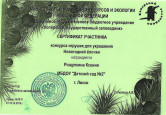 Лауреаты и участники