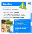 Рекомендации "Дети в городе"
