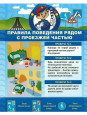 Дорожная безопасность