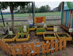 "Во саду ли, в огороде"