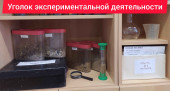 Предметно-пространственная среда
