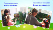 Проект «Зеленый росточек» 