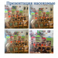 Недели