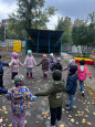 Дары осени