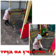 Дары осени