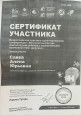 Вебинары,семинары,конференции,курсы повышения.