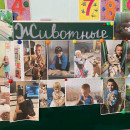 Всемирный день животных!!!