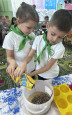 Эколята и пернатые друзья.(птицы).