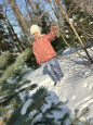 Эколята и пернатые друзья.(птицы).